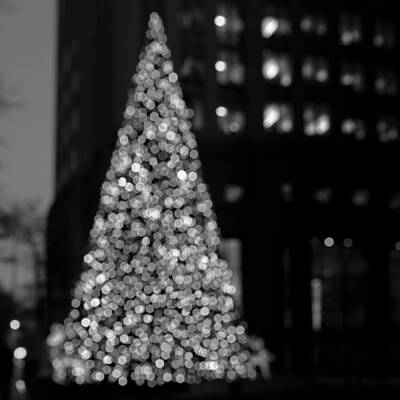  Photograph - Bokeh Christmas Tree by Christine Buckley