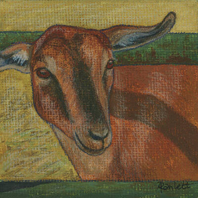  Painting - Goat by Ann Ranlett