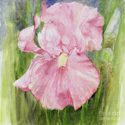  Painting - Iris in Pink by Laurie Rohner