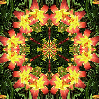  Photograph - Kaleidoscope Lilies Yellow Center With Brown Square Crop 2 by Valerie Kirkwood
