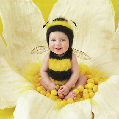 Bumblebee Photos