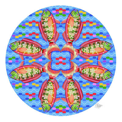 Parrotfish Digital Art