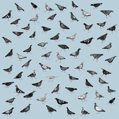 Pigeon Art Prints