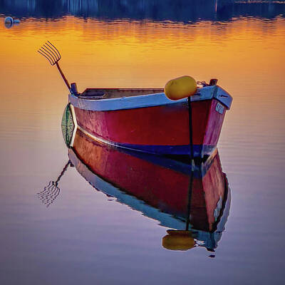  Photograph - Red Boat With a Pitchfork by Darius Aniunas