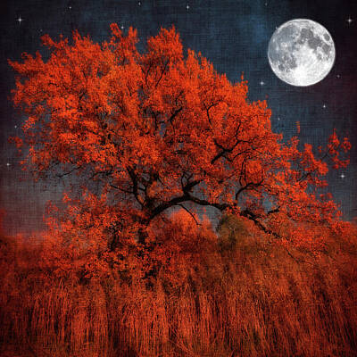  Photograph - The Tree that Spoke to the Moon by Philippe Sainte-Laudy