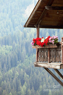 Designs Similar to Balcony overlooking the forest