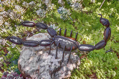 Image result for scorpion in garden ground