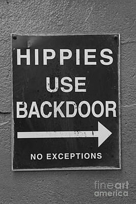 What was the hippie movement?