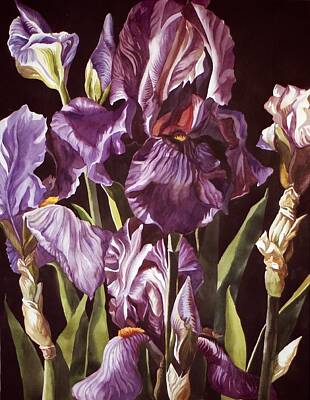 Iris Paintings (Page #34 of 171) | Fine Art America