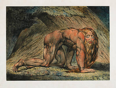 William Blake Drawing - Nebuchadnezzar by William Blake