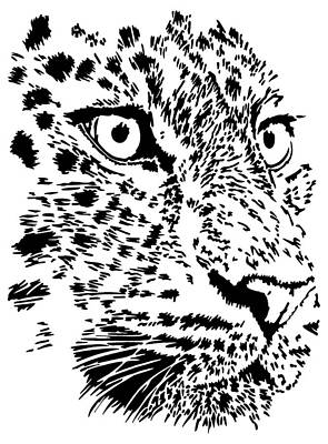 Amur Leopard Drawings | Fine Art America