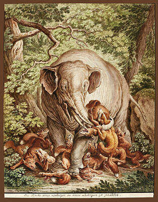  Drawing - An Elephant Fighting Foxes by Johann Elias Ridinger