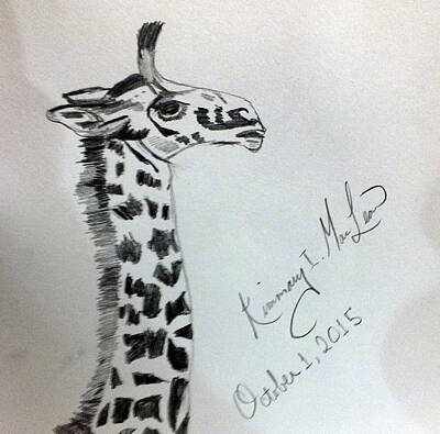 Giraffe Drawings (Page #7 of 8) | Fine Art America