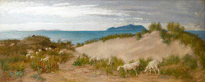 Edith Corbet Painting - Sheep Grazing In The Dunes On The Italian Coast by Edith Corbet