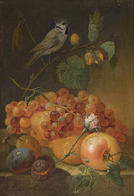  Painting - Still Life With Grapes And Apples And A Crested Tit by Johann Nepomuk Mayrhofer