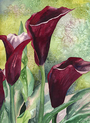 Spectacular Calla Lily Paintings | Fine Art America