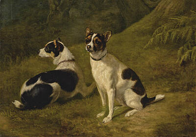 Jacques Laurent Agasse Painting - Two Terriers In A Landscape by Jacques Laurent Agasse