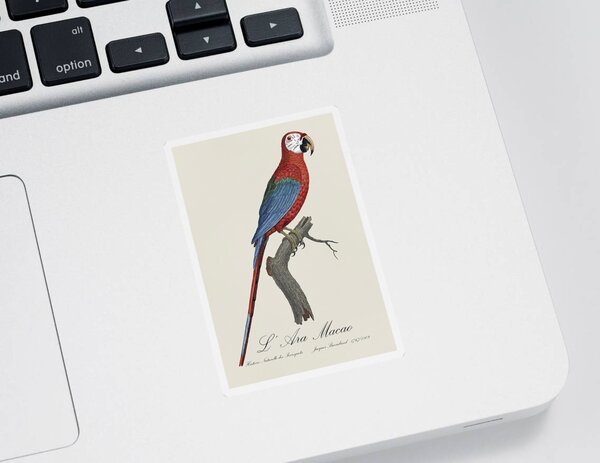 Red-and-green Macaw Stickers