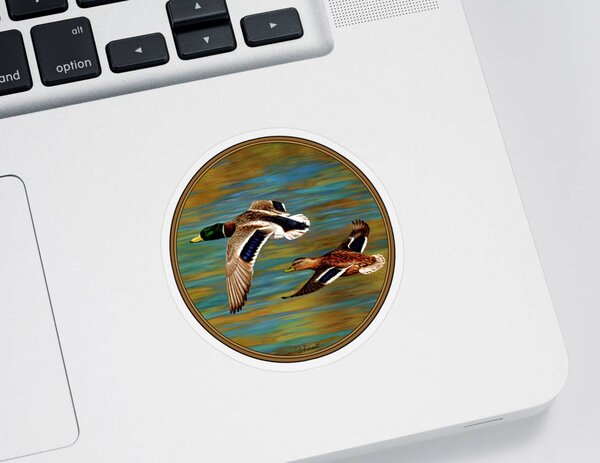 Mallard Duck Stickers