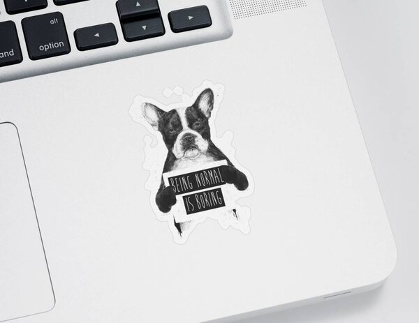 Black Dog Stickers