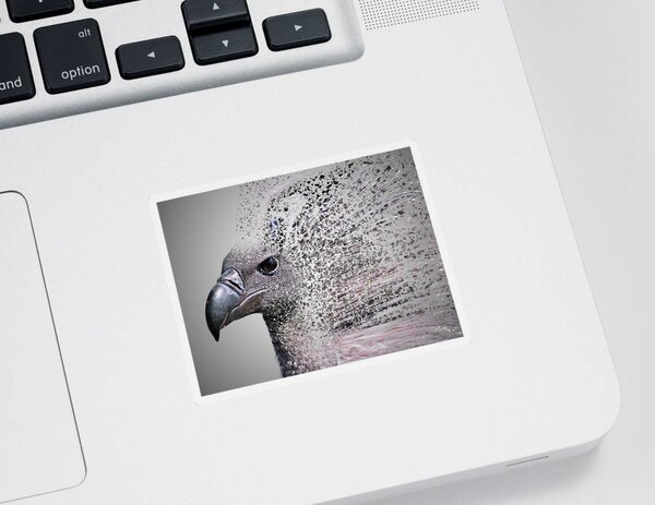 Griffon Vulture Stickers