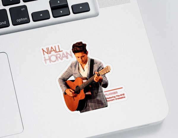 Niall Horan / Everywhere Sticker for Sale by hmkoyama03