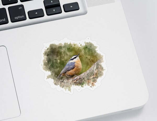 White-breasted Nuthatch Stickers