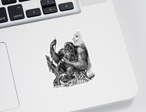 Orangutan Stickers