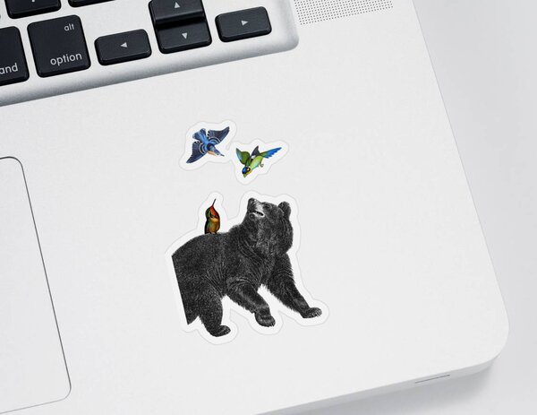 Black Bear Stickers