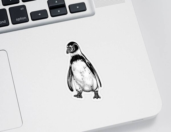 Black Footed Penguin Stickers