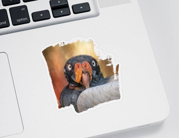 King Vulture Stickers