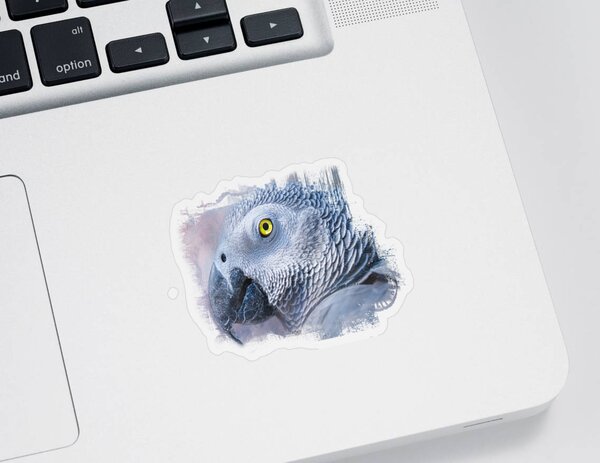 African Grey Parrot Stickers