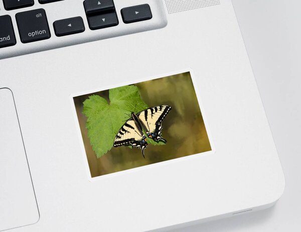 Canadian Tiger Swallowtail Stickers