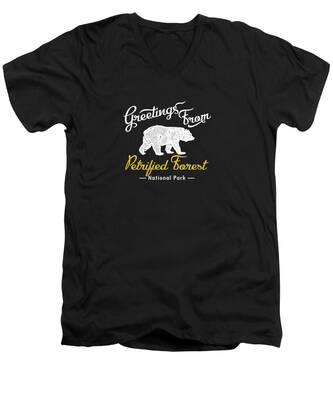 Petrified Forest National Park V-Neck T-Shirts