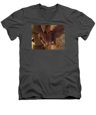 Bearded Dragon V-Neck T-Shirts