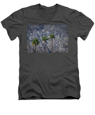 Palm Springs Aerial Tramway V-Neck T-Shirts