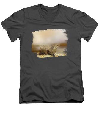 River Stones V-Neck T-Shirts