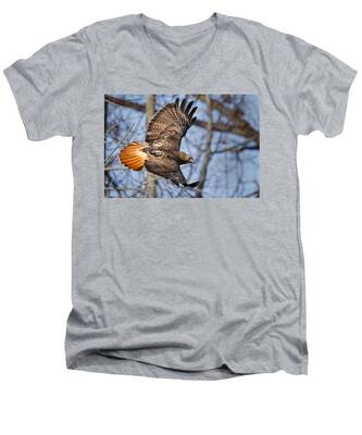 Redtail Hawk V-Neck T-Shirts