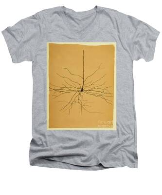 Cerebral Cortex V-Neck T-Shirts