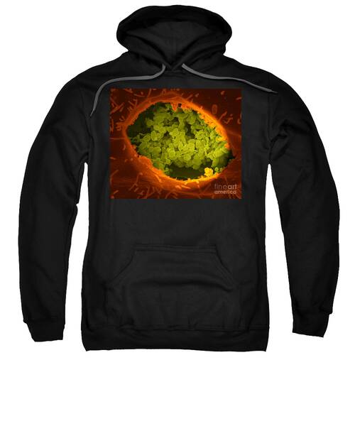 Vero Cell Hooded Sweatshirts