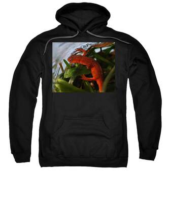 Red-spotted Newt Hooded Sweatshirts