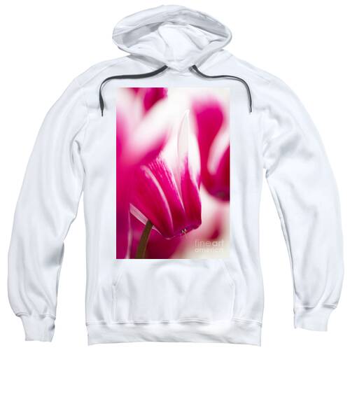 Winter-flowering Houseplant Hooded Sweatshirts