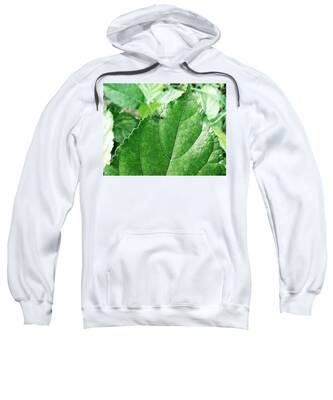Water Cabbage Hooded Sweatshirts