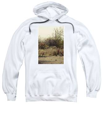 Seashore Landscape Hooded Sweatshirts