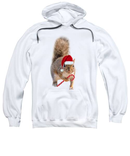 Christmas Squirrels Hooded Sweatshirts