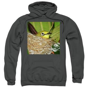 Small Birds Hooded Sweatshirts