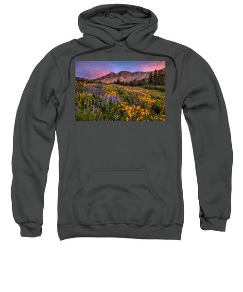 Alta Lake Hooded Sweatshirts