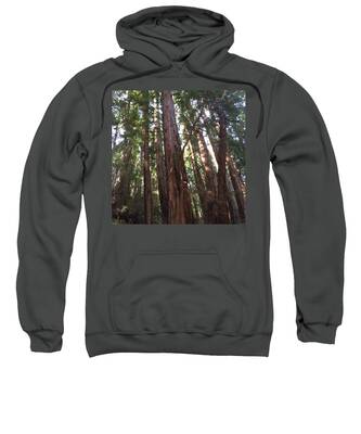 Redwood Forest Hooded Sweatshirts