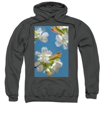 Designs Similar to Cherry Blossoms