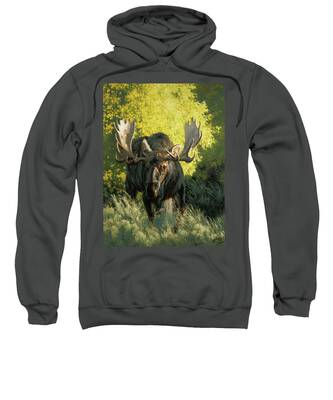 Shiras Moose Hooded Sweatshirts
